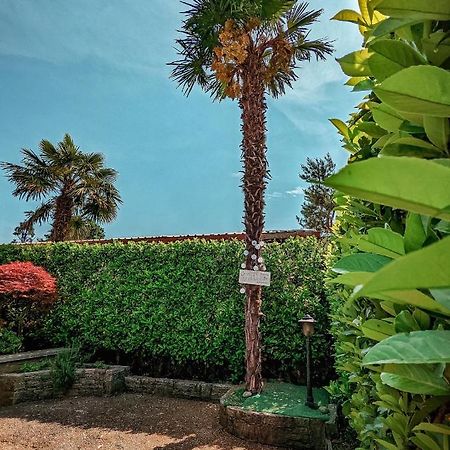 Willa Casa Victoria Castelletto sopra Ticino Zewnętrze zdjęcie